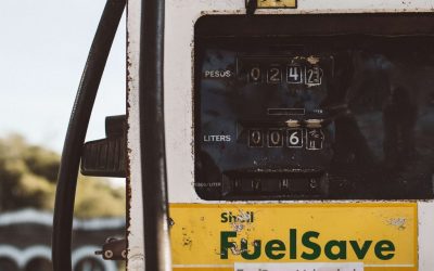 Meat industry has bigger impact on environment than oil