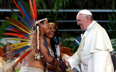 Protect the Amazon from big business and greed, Pope Francis urges