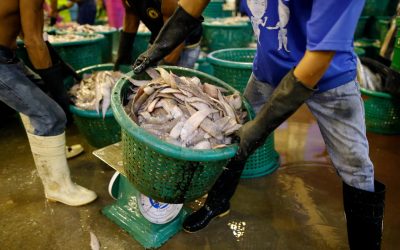 Thai seafood: are the prawns on your plate still fished by slaves?
