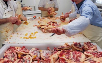 48 million sickened annually by cheap, dirty meat