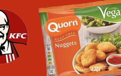 Quorn offers vegan chicken nuggets to KFC