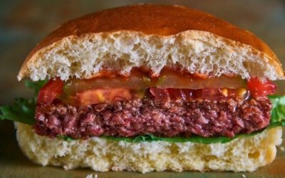 Another vegan burger makes its debut