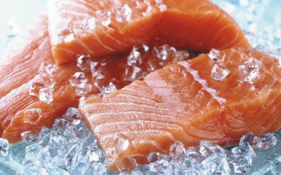 Farmed salmon is one of the most toxic foods in the world