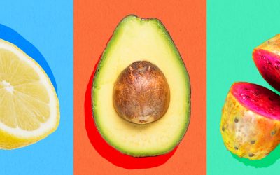 What will we be eating in 2050?