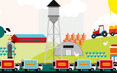 What is the true cost of eating meat?