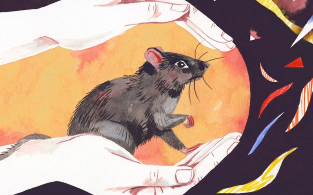 Do conservation strategies need to be more compassionate?