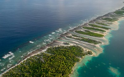 Almost all the world’s oceans damaged by human impact