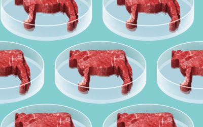 The public is hungry for clean meat!
