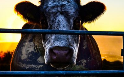 Did Facebook delete Cowspiracy page to “silence” pro-vegan voices?