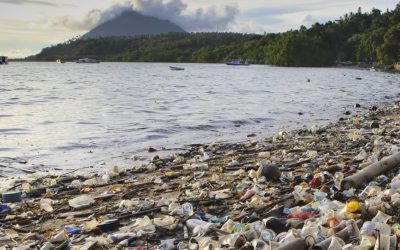 Humans are blind to imminent environmental collapse
