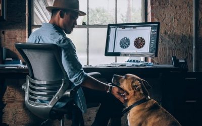 Minnesota company offers employees paid fur-ternity leave