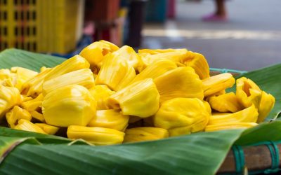 Everything you need to know about Jackfruit