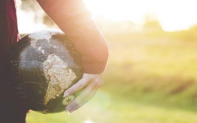 A vegan diet reduces environment impact 84{85424e366b324f7465dc80d56c21055464082cc00b76c51558805a981c8fcd63} more than meat