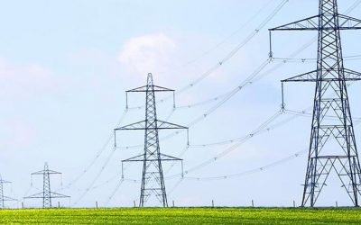 Ecotricity launches the world’s first certified vegan electricity