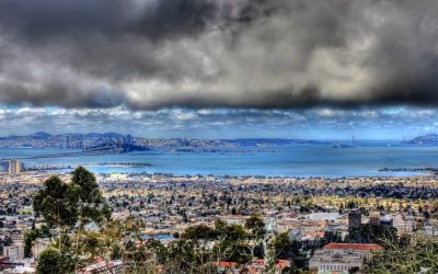 ‘Vegan Mondays’ is now law in Berkeley, California