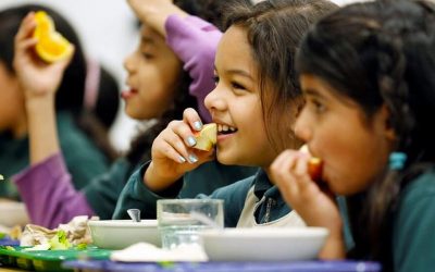 French schools to offer meat-free menu at least once a week