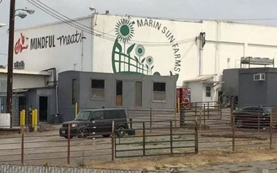 Mindful Meats: My neighbourhood slaughterhouse