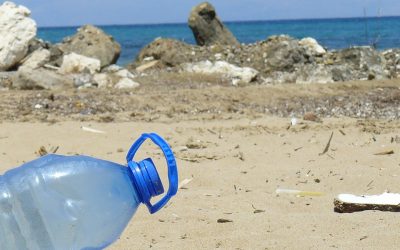 Plastic is not the ocean’s biggest killer