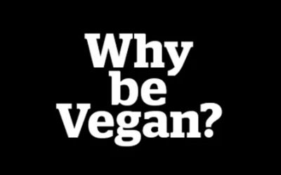 Top reasons to go vegan