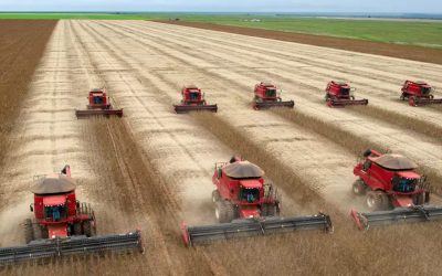 Meat eaters are destroying the planet, says report