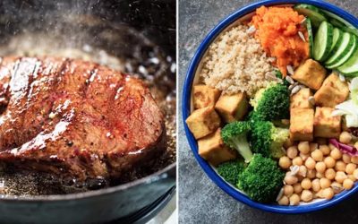 Huge reduction in meat-eating ‘essential’ to avoid climate breakdown