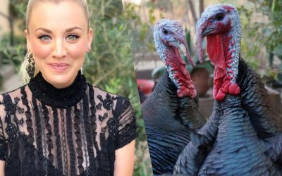 Big Bang Theory star urges America to adopt turkeys for Thanksgiving