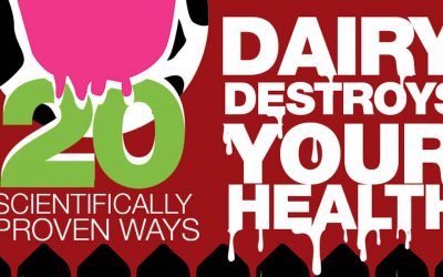 20 ways dairy destroys your health