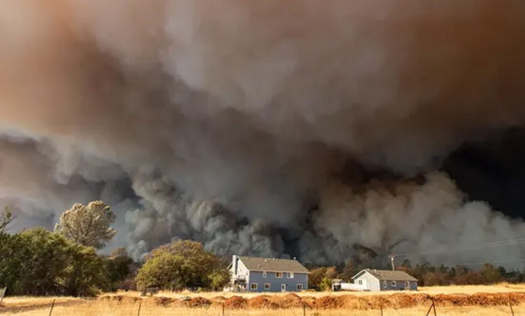 FarmFire