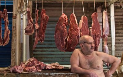 Tackling the world’s most urgent problem: meat