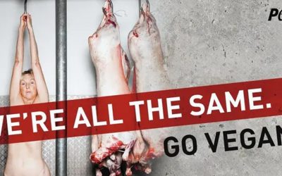 Why is belief in God more respected than belief in animal rights?
