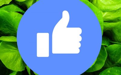 “Vegan Facebook” brings together vegan community