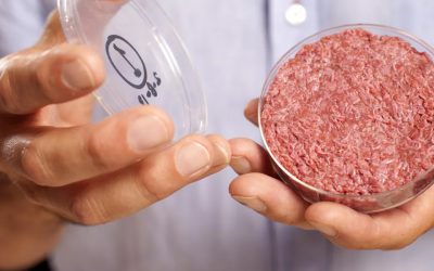 Cultured meat seems gross? It’s much better than animal agriculture