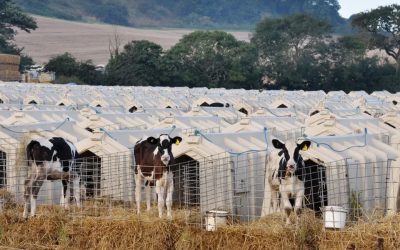 Dairy is scary and the public are noticing