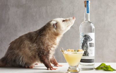 Vegan vodka supports animals in need