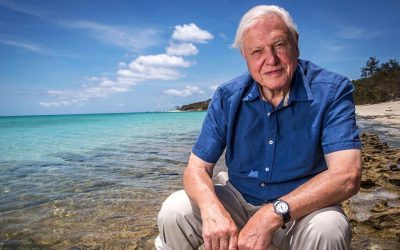 ‘Put people in power who see the truth’