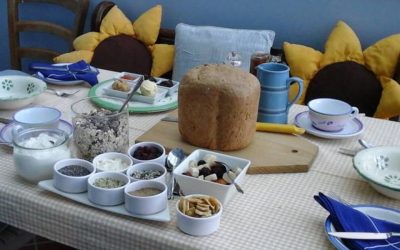 Bluejennow in Cornwall is top of list for best vegan weekend break