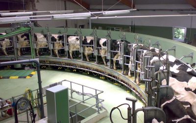 The shocking truth about dairy and the environment