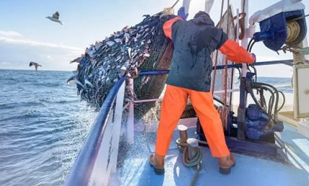 FishNotPlastic
