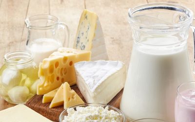 Lab-grown dairy: the next frontier