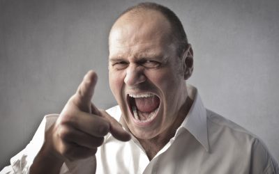 Why does veganism make people angry?