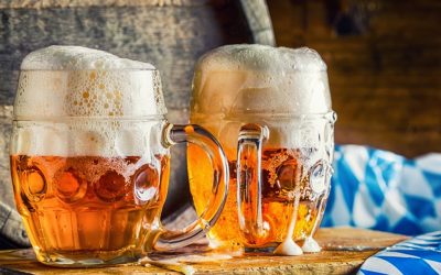 Dutch company makes vegan egg whites from beer waste