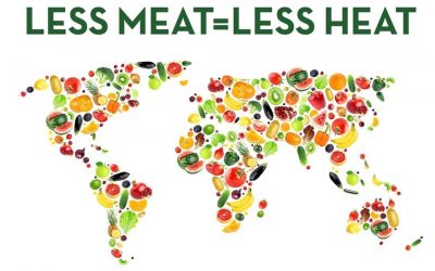 Environmental organisations are finally saying it: Eat plants for the planet