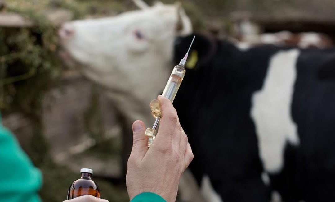 AntibioticsFarmAnimals