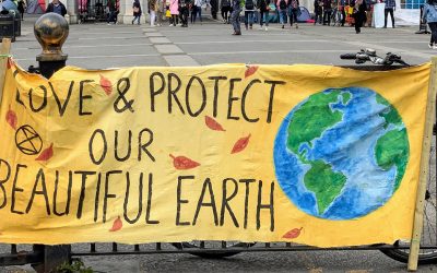 A plant-based diet can effectively help solve our entire climate crisis