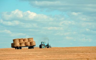 Changing our diets could achieve a lot more than changing farming practices