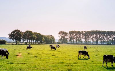 The time has come for real solutions to the climate crisis