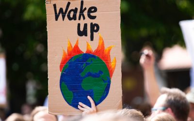 How to halve greenhouse emissions by 2030