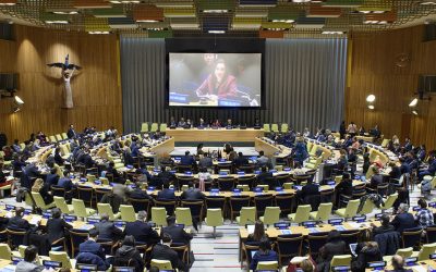 Animal agriculture avoids limelight at UN Climate Action Summit