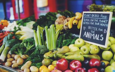 It is time for the UK to switch to a plant-based food system