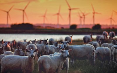 science daily agriculture news
